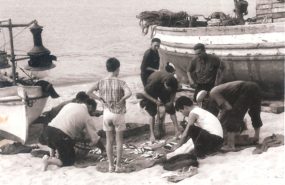 Repartint-peix-1950