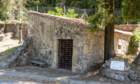 moli-fariner4